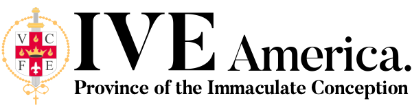IVE America logo